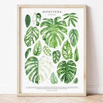 affiches art botaniques illustrations feuilles tropicales moderne intérieur salon chambre verte
