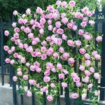 guirlande fleurs artificielles roses blanches rouges vigne feuilles intérieur décoration moderne