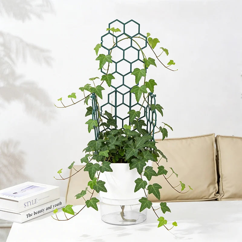 supports plante grimpante balcon treillis fleur poteau pothos rose hexagonnel décoration jardin moderne minimaliste