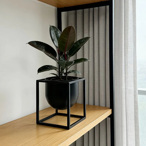 support plantes métal noir moderne pot feuilles rouges vertes grimpantesintérieur décoration minimalisteplantes vertes autoinstallation
