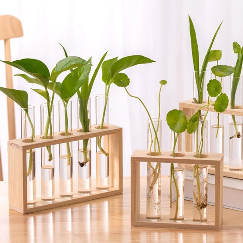 support plantes cube tubes verre transparent bois naturel moderne vase décoration intérieure fixations murales