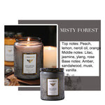 bougies parfumées soja aromathérapie gris métallisé dentelle élégantes decoration maison sérénité Baltic Amber Misty