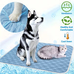 tapis refroidissement animal polyester bleu clair quilté moderne antidérapant taille xl washable