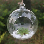 vase suspendu verre transparent moderne succulentes figurines gravier chambre saloncoration