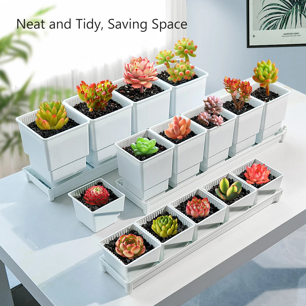 pots succulentes blancs moderne drainage ridge verticale pots différents tailles plateau