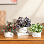 plantes artificielles vertes moderne pots blancs décoration intérieure feuilles variées minimaliste