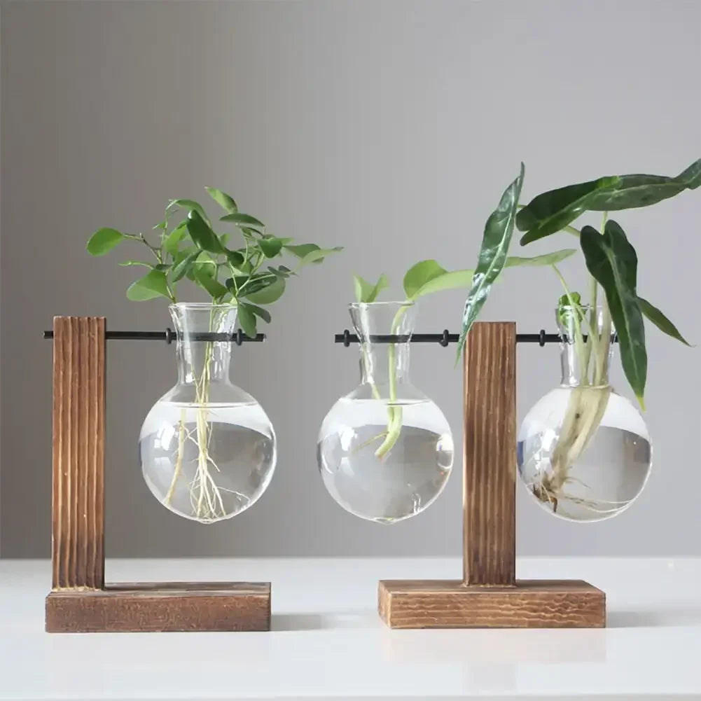 vases suspendus transparents bois brun plante aquatique deco moderne minimaliste