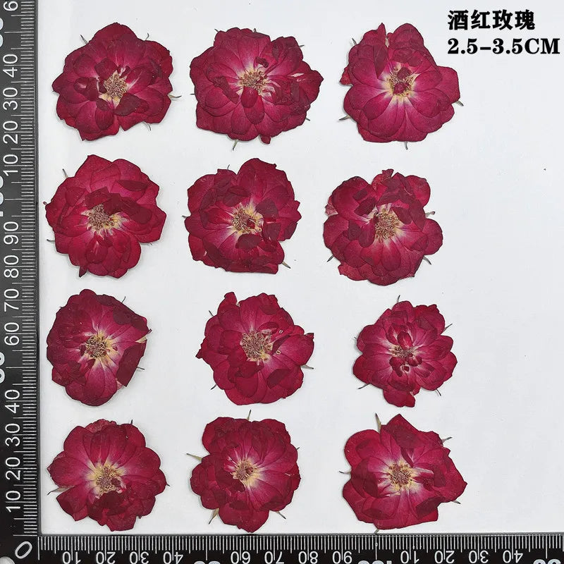 fleurs séchées naturelles rouge jaune blanc rose décoration maison intérieure bricolage scrapbooking abat jour