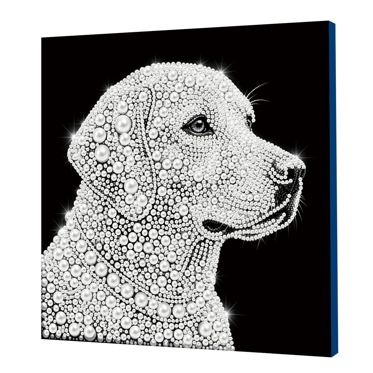 tableau décoratif brillantes motifs papillon art détaillé personnage dessins animés 25cm 25cm