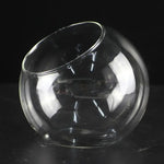 Terrarium en verre de 16 cm avec composition végétale
