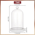 boule neige transparente moderne ours peluche fleurs séchées neige artificielle
