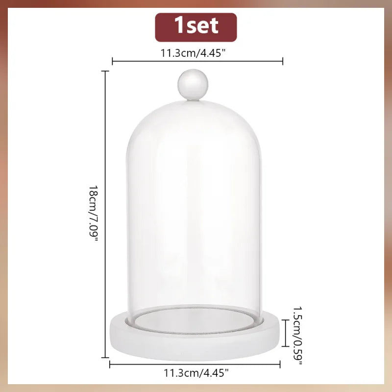 boule neige transparente moderne ours peluche fleurs séchées neige artificielle