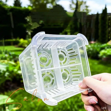 système culture hydroponique fleurs transparent panier blanc compartiments aération moderneintérieurDecoration tulipes poissons crabe