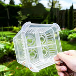 système culture hydroponique fleurs transparent panier blanc compartiments aération moderneintérieurDecoration tulipes poissons crabe