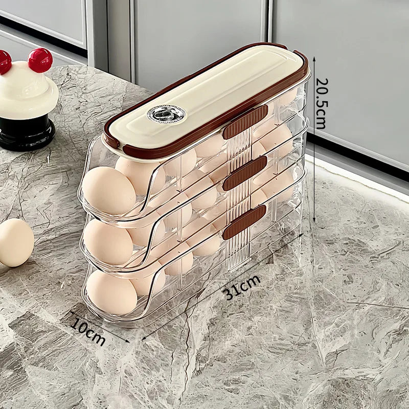 boîte œufs transparente réutilisable poignées couvercle moderne cuisine rangement 31x20cm 45x20cm 65x20cm