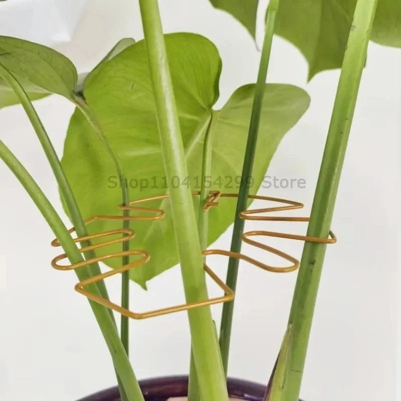 Support tiges plantes or noir vert spirale moderne intérieur pot balcon jardin