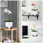 pots orchidées double couche plastique moderne blanc perforations circulations air phalaenopsis anthurium cymbidium dendrobiums