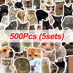 autocollants chats multicolores humoristiques adhésifs 500 pièces stickers mèmes cute
