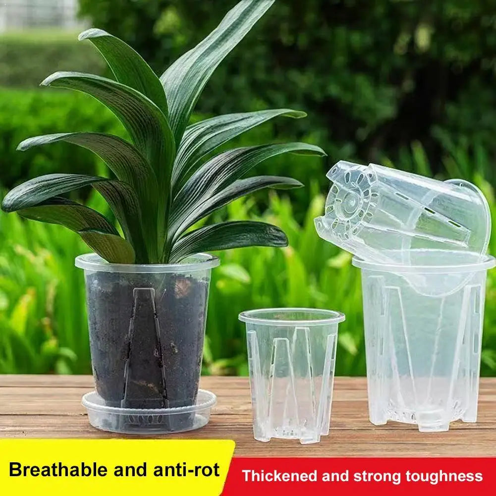 pots plantes transparents grille racines moderne pratique différentes tailles