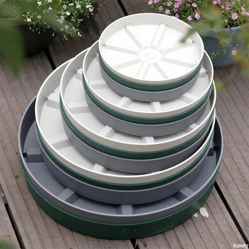 plateau protection racine bonsaï gris blanc vert rayures radiales moderne