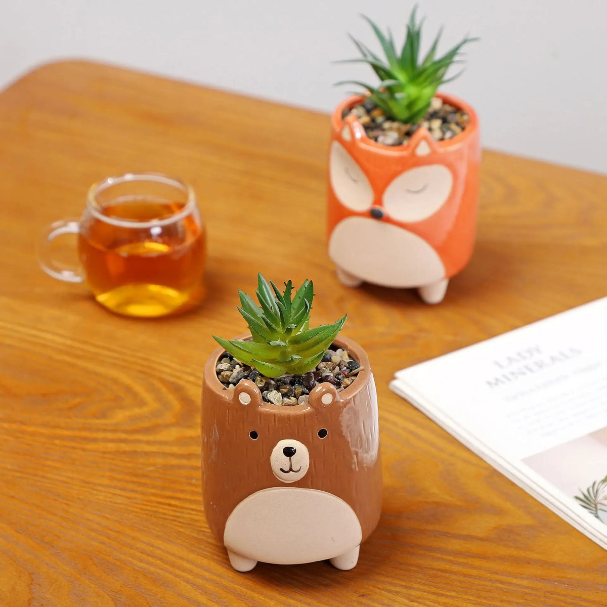 cache pot céramique animal mignon cartoon plante succulente chat renard ours blanc orange gris