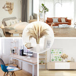 décoration maison bouquets pampas séchés naturels fibres fines rustiques beige marron blanc 40cm anniversaire