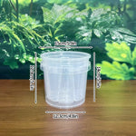 Pot plante moderne auto arrosant transparent controle racines drainage ornemental fleuri