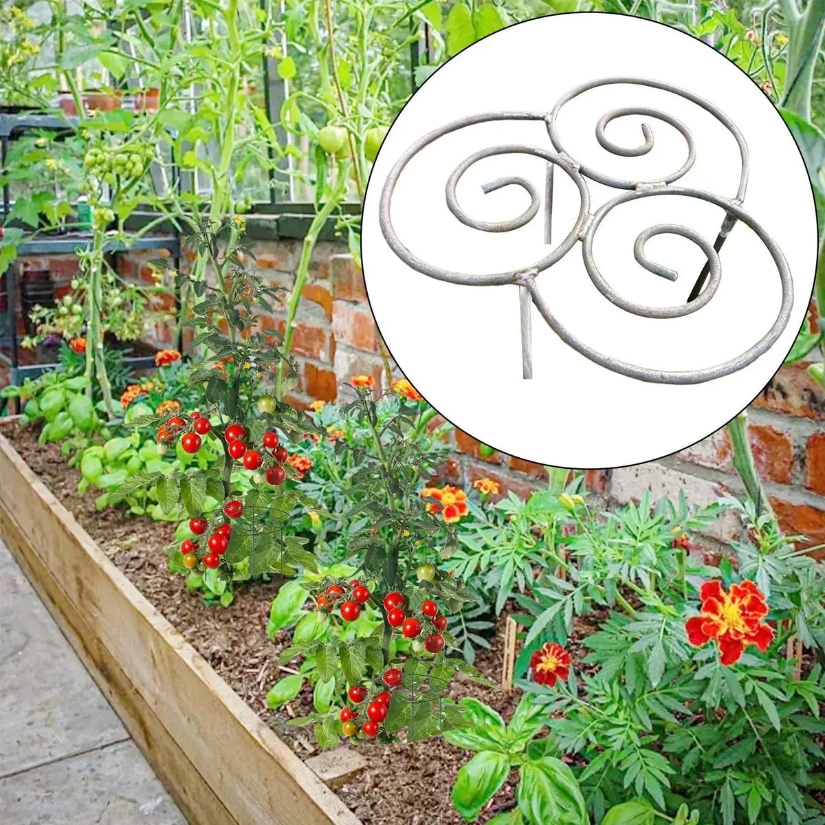 support plante métal résistant intempéries spirales gris vert jardin patioextérieur