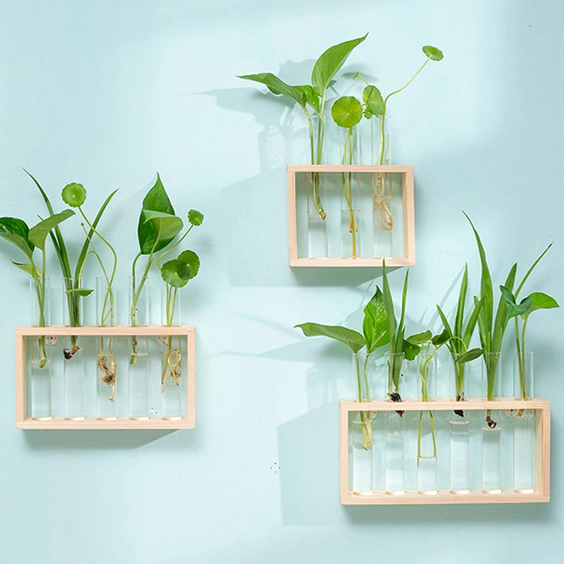 support plantes cube tubes verre transparent bois naturel moderne vase décoration intérieure fixations murales