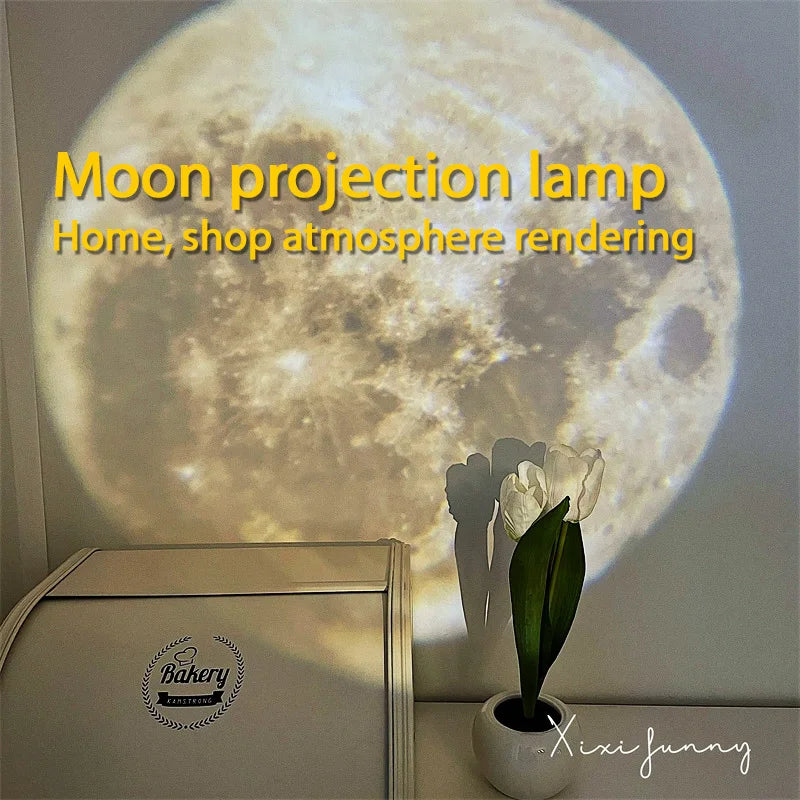 lampe projection lune moderne éclairage blanc gris éclairage intérieur plafonnier led opacité chambre salon
