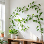 supports murals adhésifs auto agrippants plantes vert simples modernes intérieur 100pcs