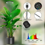 lampe croissance plante moderne minimaliste noir blanc vert rond lumineuse intérieure usb contrôleur câble