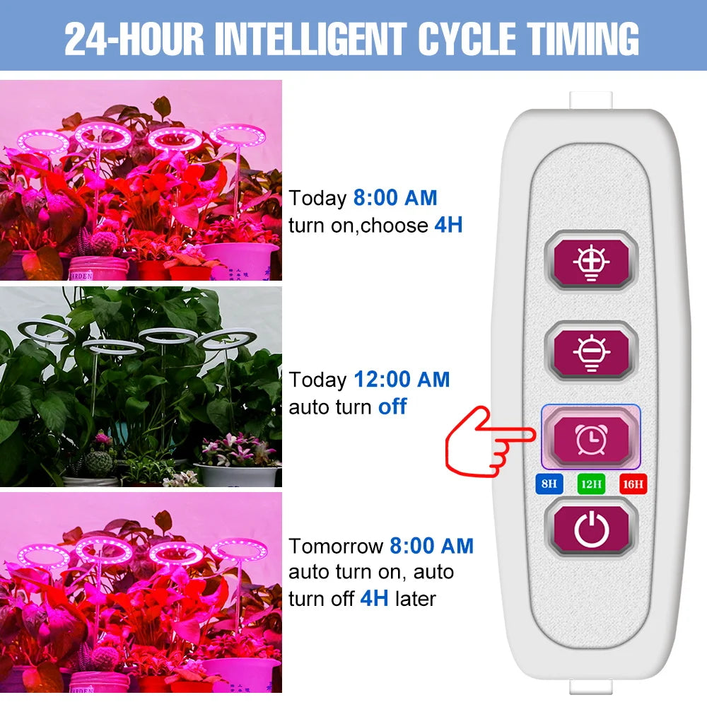 lumière croissance led anneaux purple moderne usb alimentée régulateur intensité