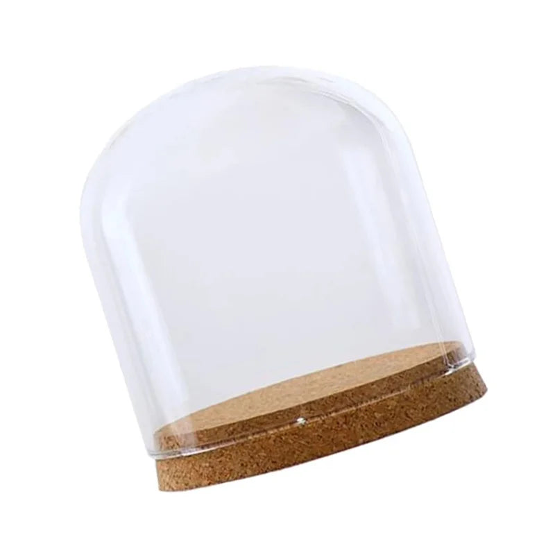 Lot de terrariums en verre sur une table en bois