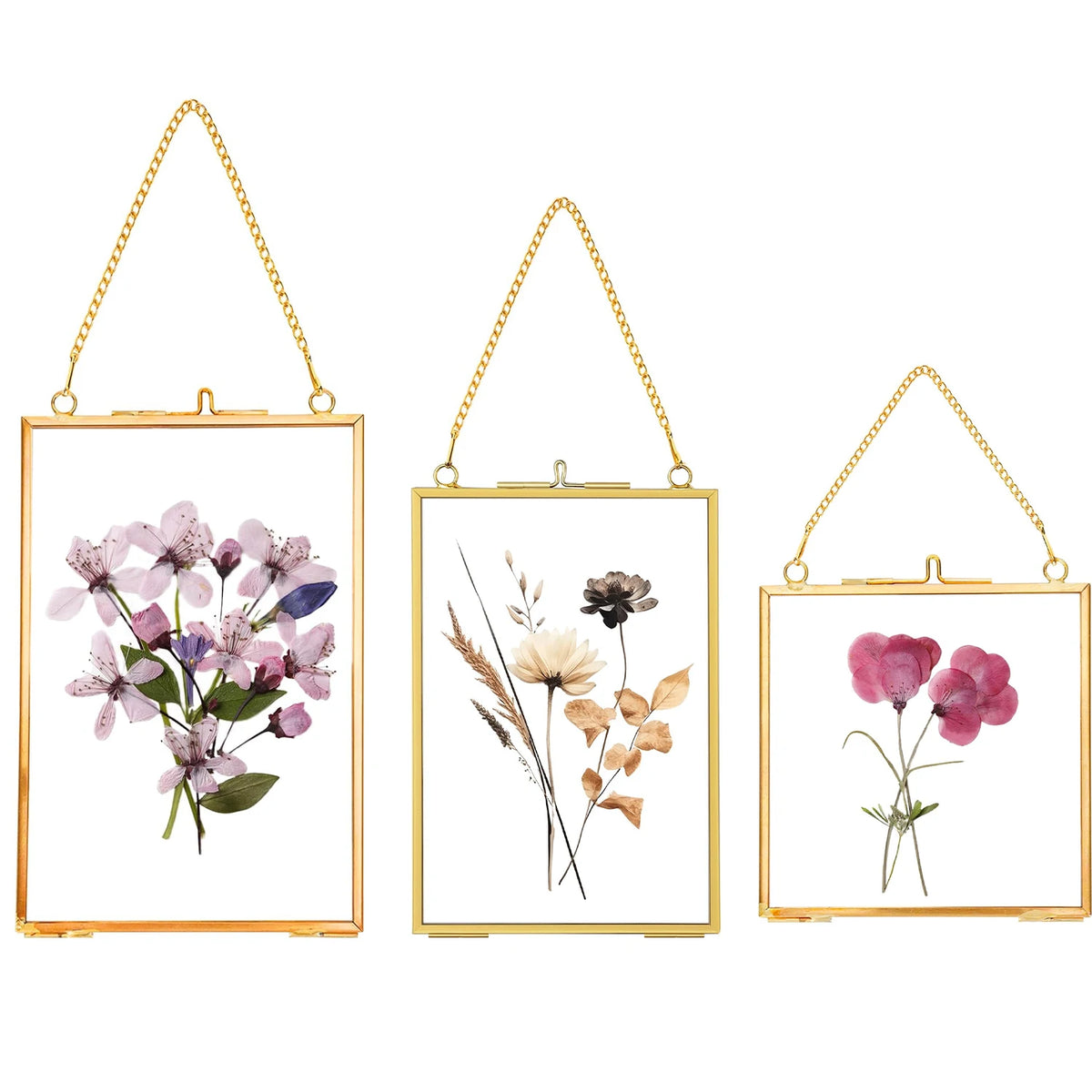 cadres photo suspendus fleurs séchées or bohème artistique décoration illustrées tasses chiens ballerines