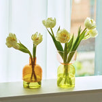 Vases modernes transparents vert bleu orange rose jaune set deux mini vases terrarium fonction