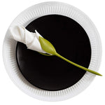 porte serviettes moderne napkins holder serviettes pliées fleur blanc vert adhésif kitchen organizer tendance