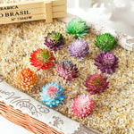 plantes succulentes artificielles décoration maison extérieur bonsaï feuilles pointues rouge vert rose bleu violet