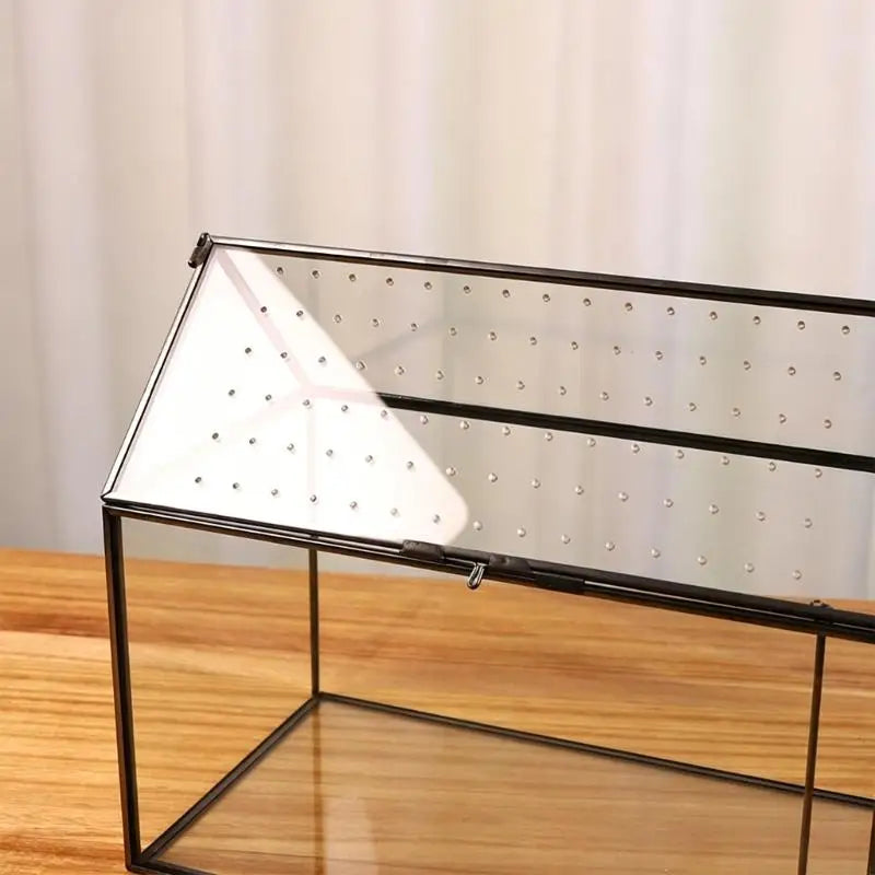 serre verre transparent moderne couvercle perforé clips air plant