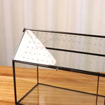 serre verre transparent moderne couvercle perforé clips air plant