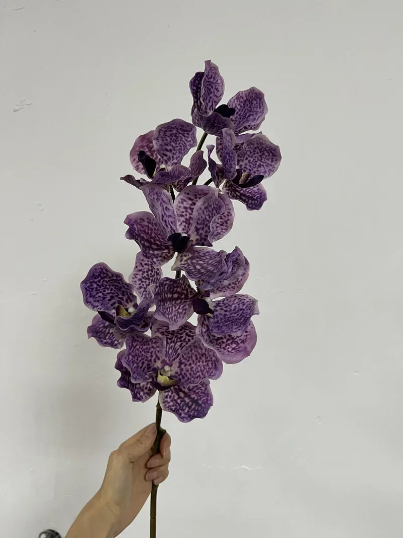 Décoration intérieure orchidée artificielle latex violette rose blanche naturelle têtes