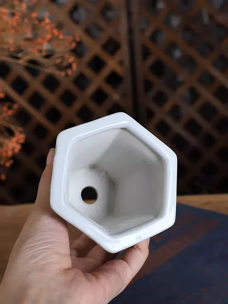 Cache pot céramique chinois peinture florale oiseaux blanc traditionnel artisanal fleur plante verte
