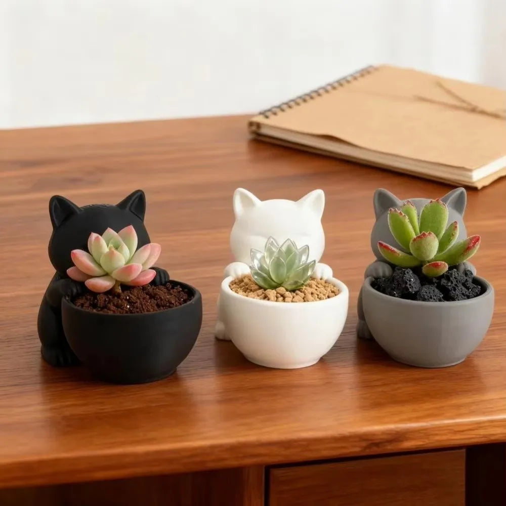 pots plantes succulentes forme chat noir blanc gris moderne mignon décoration fleur verte drainage