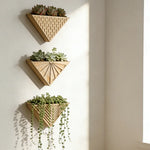 jardinière murale bois minimaliste modernes triangles succulentes bohèmes géométriques fixations vis incluses decorationintérieur