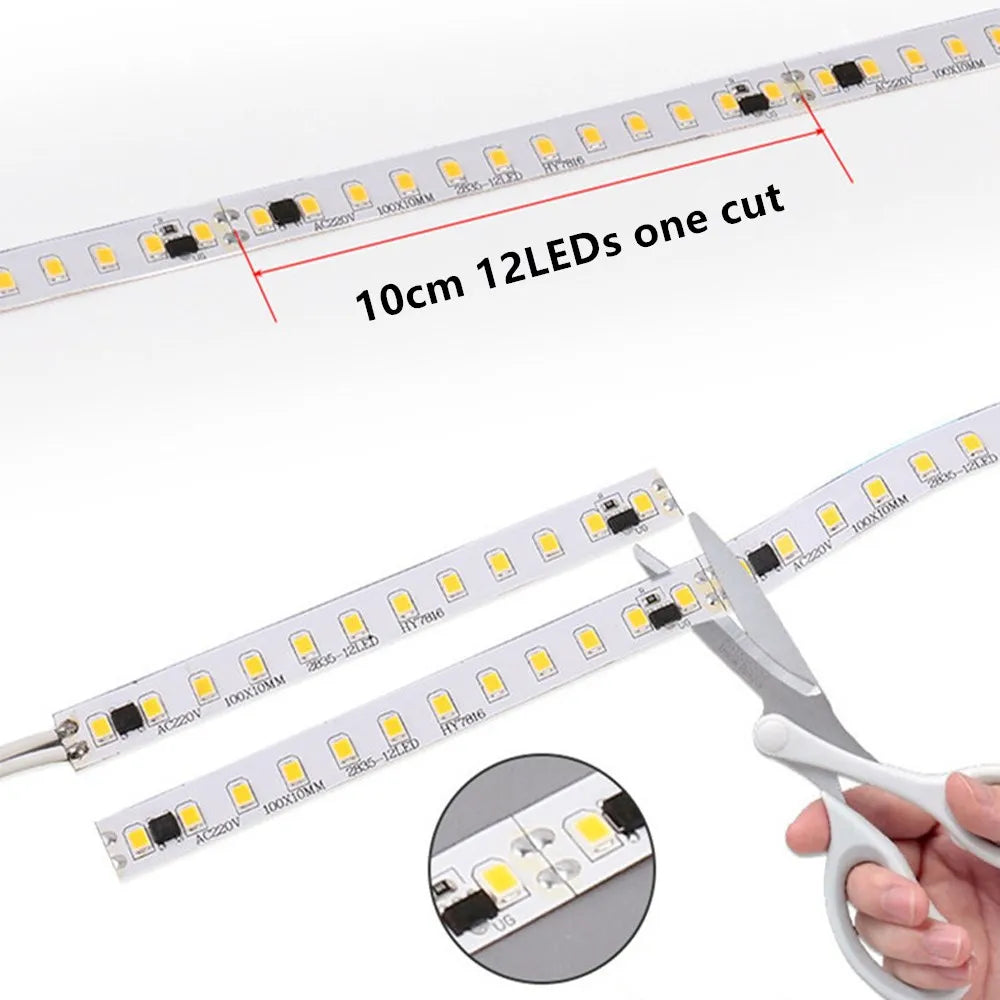 Ruban LED 5m 120 LEDs/m SMD2835