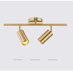 Spot LED moderne or noir conique montage surface deux sources lumineuses