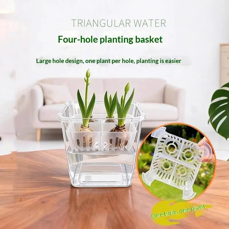 système culture hydroponique fleurs transparent panier blanc compartiments aération moderneintérieurDecoration tulipes poissons crabe