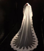 voile mariée blanc dentelle motifs floraux élégant clips métalliques translucide classique