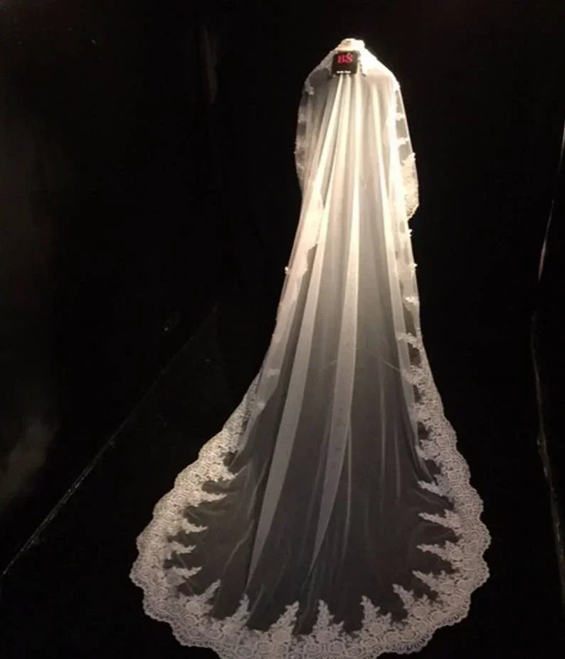 voile mariée blanc dentelle motifs floraux élégant clips métalliques translucide classique