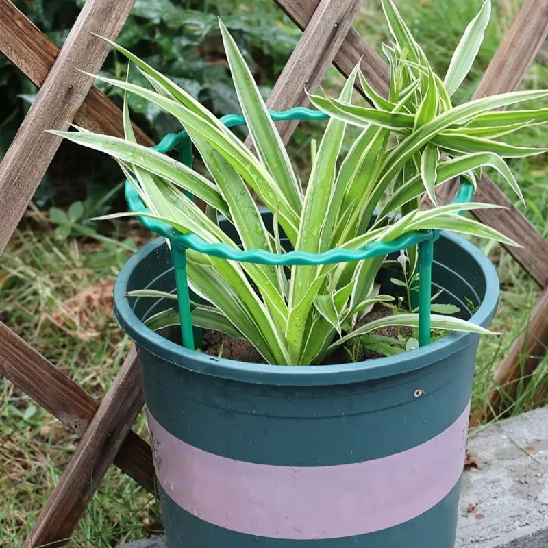 support plante spirale vert moderne clips assemblage facile jardin balcon vert